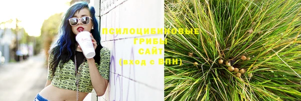 амфетамин Белокуриха