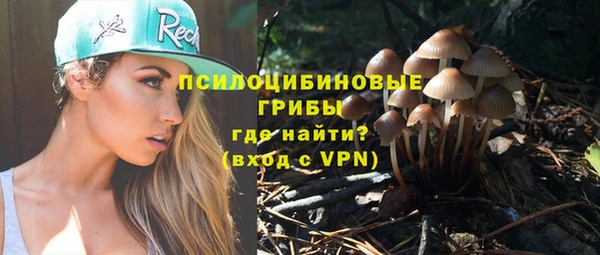 амфетамин Белокуриха